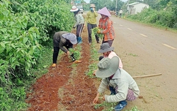 Ia Grai, Gia Lai: Nâng cao ý thức bảo vệ môi trường vùng đồng bào dân tộc thiểu số 