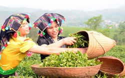Thúc đẩy liên kết vùng, thu hẹp khoảng cách giữa các địa phương