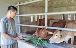 Nga My - Mái nhà bình yên của dân tộc ít người nhất Việt Nam