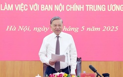 Công tác nội chính phải hướng mục tiêu giữ vững ổn định để phát triển đất nước