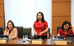 "Cả chợ bán hàng nhái, vai trò quản lý thị trường thế nào?"