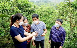 Hà Giang: Thúc đẩy chuyển đổi số góp phần thoát nghèo