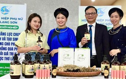 Hội LHPN Lạng Sơn hỗ trợ hơn 1.400 hội viên, phụ nữ khởi nghiệp, khởi sự kinh doanh