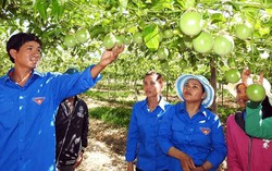 4 giải pháp "tiếp sức" phụ nữ dân tộc thiểu số khởi nghiệp