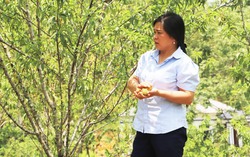 Phụ nữ dân tộc thiểu số vùng biên thoát nghèo bền vững