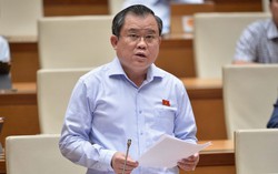 Đại biểu Quốc hội đề xuất tăng mức phạt với tội sản xuất, buôn bán hàng giả, vi phạm an toàn thực phẩm
