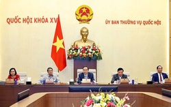 Bổ sung cơ chế kiểm tra, đánh giá, bảo đảm chất lượng nhà ở xã hội