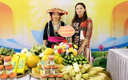 Đoan Hùng: Duy trì hiệu quả 22 nhóm phụ nữ liên kết phát triển kinh tế tại 14 xã