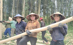 Nữ "phu keo" giữa đại ngàn xứ Nghệ