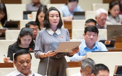 Cần cơ chế khuyến khích doanh nghiệp sử dụng nhiều lao động nữ, người dân tộc thiểu số