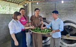 Tạo "lá chắn" bảo vệ phụ nữ trên không gian mạng