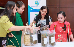 Tinh gọn tổ chức - Hướng về cơ sở - Bài 3: Hội viên cần gì sau tinh gọn?