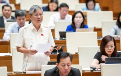 Đại biểu Quốc hội đề nghị tăng ngay, tăng mạnh thuế tiêu thụ đặc biệt với thuốc lá