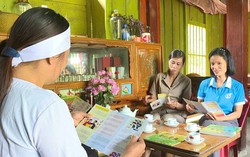 Phát huy hiệu quả tiếp nhận thông tin và hỗ trợ nạn nhân bạo lực gia đình