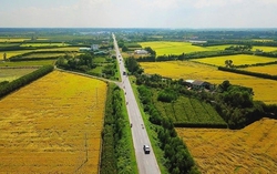 Thủ tục, hồ sơ đăng ký đất đai, tài sản gắn liền với đất, hồ sơ địa chính