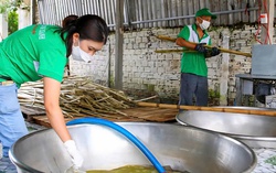 Quảng Ngãi: Vực dậy nghề truyền thống, hỗ trợ sinh kế cho nông dân