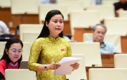 Đề xuất giáo dục kỹ năng số và phòng chống lừa đảo công nghệ cao vào trường học