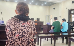 Viện KSND đề nghị trả hồ sơ điều tra lại, Tòa nghị án kéo dài vụ "bênh mẹ mà phạm tội"