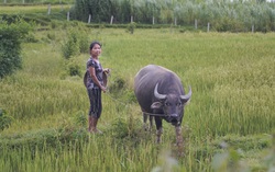 Phủ sóng thông tin, tiếp sức hộ nghèo vươn lên thoát nghèo bền vững 
