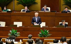 Cần làm mới các động lực tăng trưởng, phát triển kinh tế xanh, kinh tế tuần hoàn