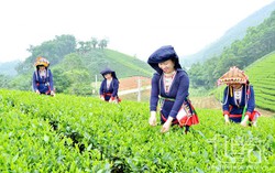Khẩn trương sửa đổi tiêu chí phân bổ vốn Chương trình MTQG phát triển KT-XH vùng dân tộc thiểu số, miền núi