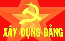 Kết luận số 170-KL/TW của Ban Bí thư: Chuẩn bị Lễ công bố các văn bản sáp nhập đơn vị hành chính, chỉ định nhân sự cấp tỉnh, cấp xã