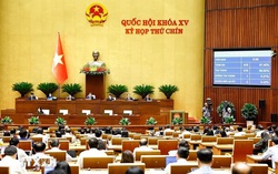 Quốc hội thống nhất rút ngắn thời gian thực hiện quy trình bầu cử