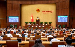 Chủ tịch Hội LHPN Việt Nam là Ủy viên Hội đồng bầu cử quốc gia