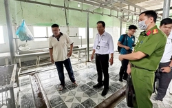 Thịt heo bệnh tại Dững Nga: Những câu hỏi đặt ra khi C.P thừa nhận... từng phần