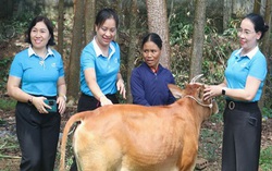 Hơn 65.000 phụ nữ vùng biên xứ Nghệ hưởng lợi từ hành trình xóa nghèo thông tin