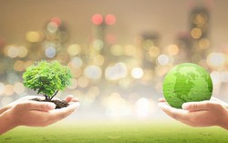 Ngày Môi trường thế giới 5/6: Phụ nữ - Những người hùng thầm lặng trong "cuộc chiến" vì môi trường