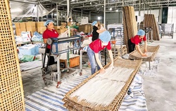 Hà Nam triển khai thực hiện hiệu quả các chương trình tín dụng ưu đãi của Chính phủ