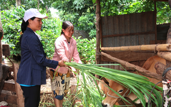 Lan tỏa tinh thần thoát nghèo bền vững của phụ nữ thị trấn Chư Sê