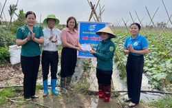 Phụ nữ Thái Bình: Nhiều cách làm sáng tạo hỗ trợ nhau lao động, sản xuất 