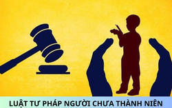 Triển khai thi hành Luật Tư pháp người chưa thành niên
