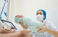 Cục trưởng Cục Dân số: Muốn sinh đủ, cần chính sách thiết thực