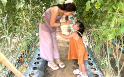 Dành cho con một mùa hè đầy ắp những điều lý thú