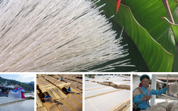 Nông sản vùng cao chuyển mình từ bản làng ra thế giới 