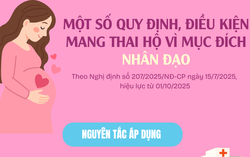 Infographic: Một số quy định, điều kiện mang thai hộ vì mục đích nhân đạo