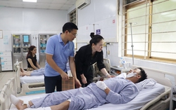 Khẩn trương tạm ứng bồi thường khách hàng gặp nạn trên tàu Vịnh Xanh 58