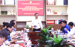 TPHCM: Khẩn trương khắc phục thiệt hại do giông lốc, sẵn sàng ứng phó thiên tai