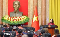 Phó Chủ tịch nước gặp mặt đại biểu tham gia Diễn đàn Trí thức trẻ Việt Nam toàn cầu lần thứ 6