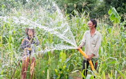 Giúp phụ nữ vùng hạn hán, xâm nhập mặn tiếp cận nước sạch, tạo sinh kế bền vững