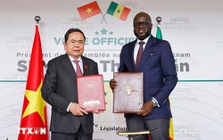 Việt Nam sẵn sàng hỗ trợ Senegal bảo đảm an ninh lương thực