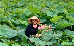 Biến đất hoang thành đầm sen, thu tiền triệu mỗi ngày