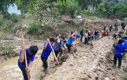 Giúp người dân đứng dậy sau lũ dữ