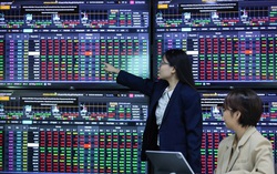 Chứng khoán tuần 28/7 - 1/8: VN-Index vượt đỉnh, nhà đầu tư cần lưu ý gì?