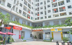 Nhà ở xã hội tại Hà Nội tiếp tục được mở bán, giá 16,3 triệu đồng/m2