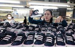 Kết quả khả quan từ việc đạt được đàm phán thương mại với Hoa Kỳ