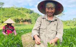 Nâng cao năng lực tiếp cận dịch vụ tài chính cho phụ nữ, các nhóm yếu thế và khu vực nông thôn, miền núi